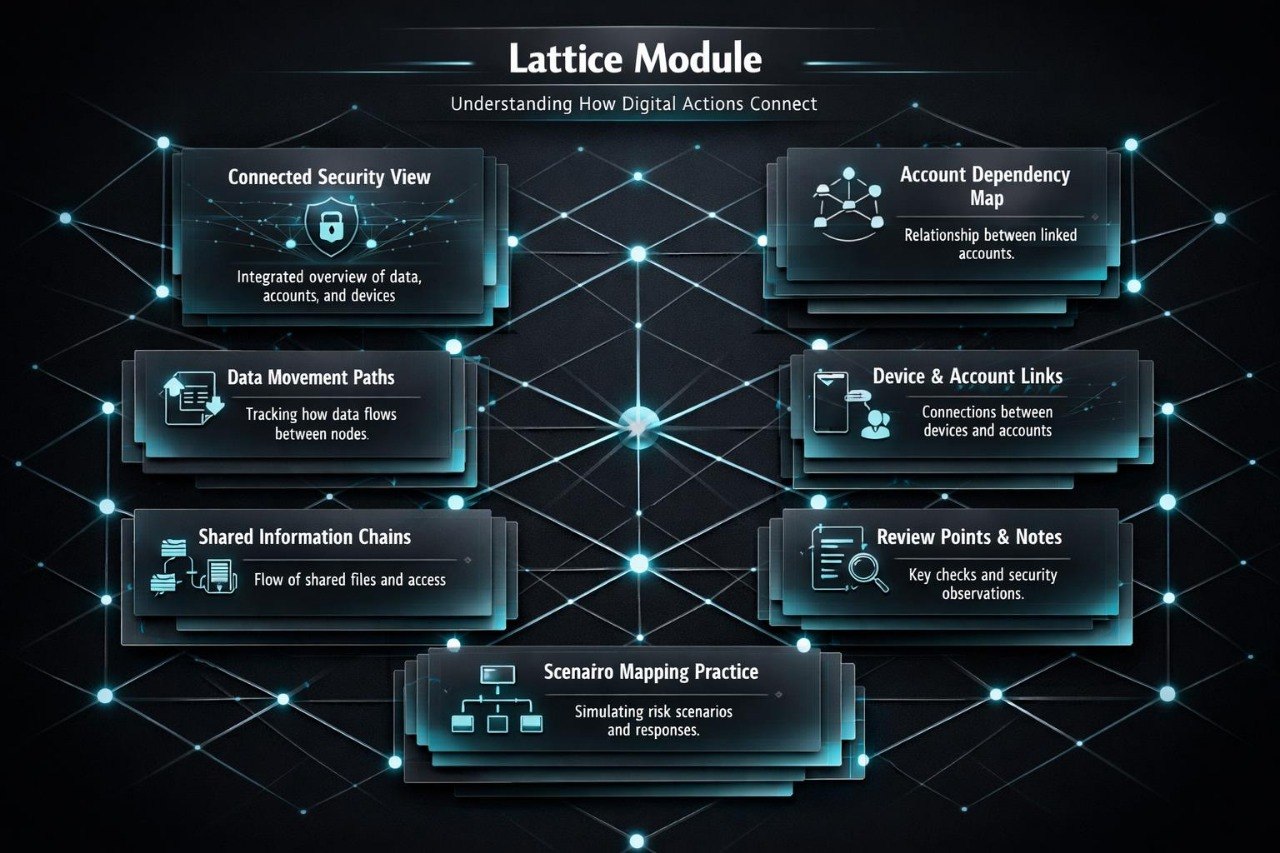Lattice Module Infographic